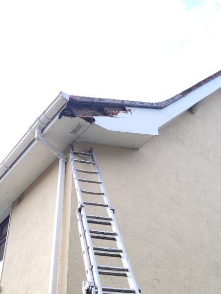Guttering, Soffits and Fascia Leinster