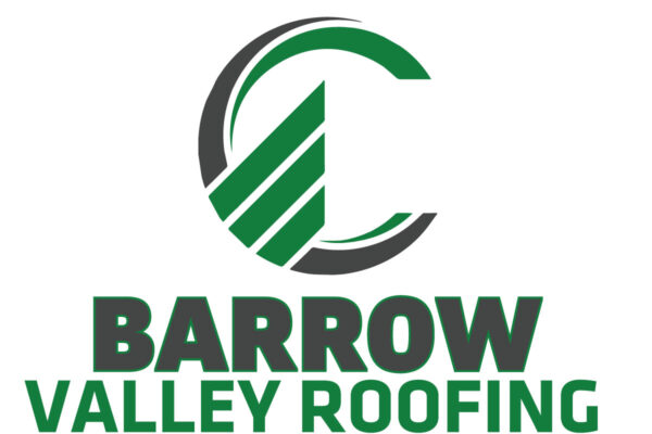 Large logo